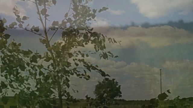 Ольга Грибанова, отрывок из книги "МИГ РОЖДЕНИЯ" смотреть онлайн