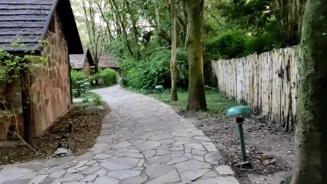 Tour of the Sarova Mara Game Camp [Rooms, Ambiance, Fishpond,Wild animals] смотреть онлайн