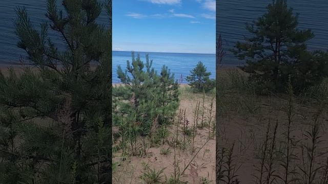 Карелия 2024. Ладожское озеро. Приозерск. Июль 2024 (Часть 3).mp4 смотреть онлайн