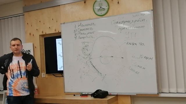 Инфекции и имунная система - Валентин Басенко и Общая концепция здоровья - Алексей Синицын, школа смотреть онлайн