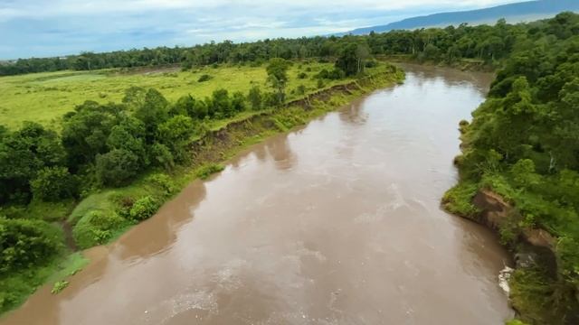 Masai Mara Hot Air Balloon Safari смотреть онлайн