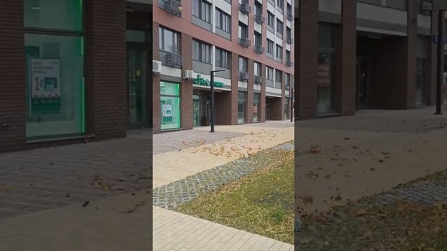 Fallen Leaves Tornado | ЖК Сиреневый парк
