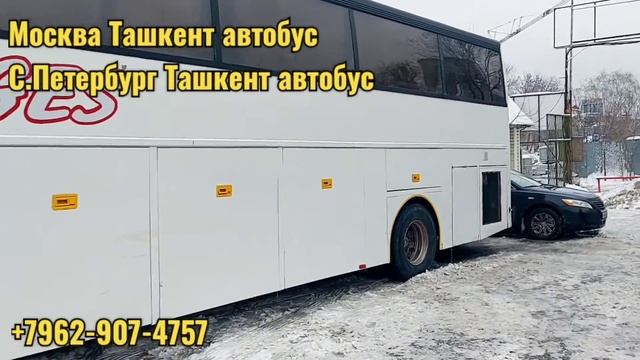 Moskva Tashkent avtobus/ Москва Ташкент автобус #москва #ташкент #автобус +79629074757 смотреть онлайн