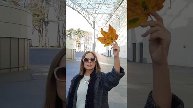 Приезжайте к нам в Светлогорск и на Балтийские курорты в любое время! смотреть онлайн