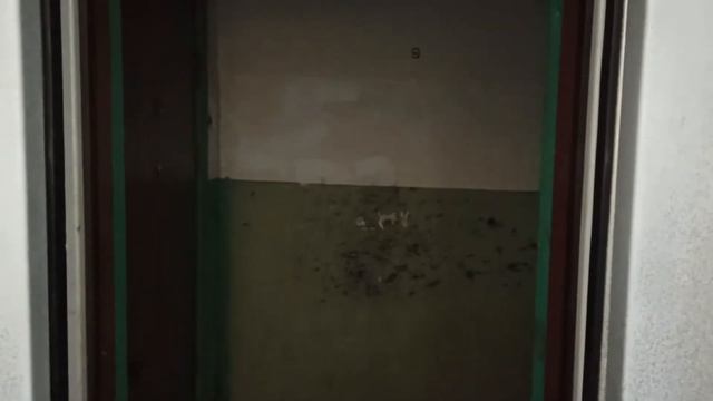 Модернизированный лифт МЛЗ, г/п 400 кг, V=0,71 м/с (ул. Зерновая, 30а, подъезд 3, г. Запорожье) смотреть онлайн