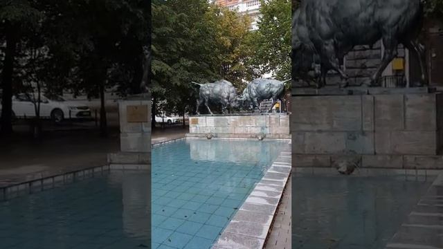 Лето Зубров Калининград