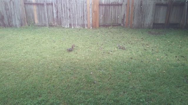 These two...🐿 смотреть онлайн