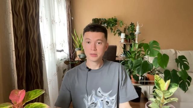 Обзор Новых Комнатных растений в Моей Коллекции » Август 2024 смотреть онлайн
