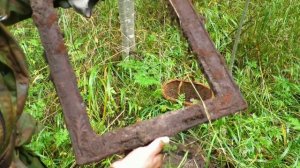 Коп в лесу. Александр(реставратор) 265