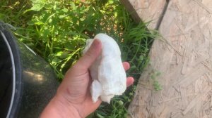 Утепление каркасного дома пенополиуретаном в минус 10.Шумоизоляция стен и межэтажного перекрытия.