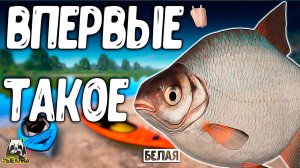 РУССКАЯ РЫБАЛКА 4. У НАС ТАКОЕ ВПЕРВЫЕ, И ВОТ ЧТО ВЫШЛО ИЗ ЭТОГО РР4