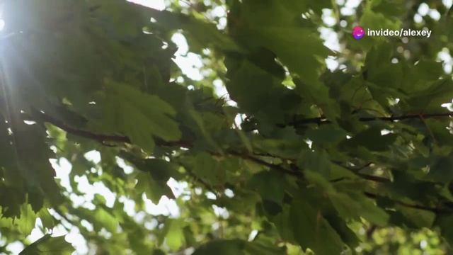 Развод! смотреть онлайн