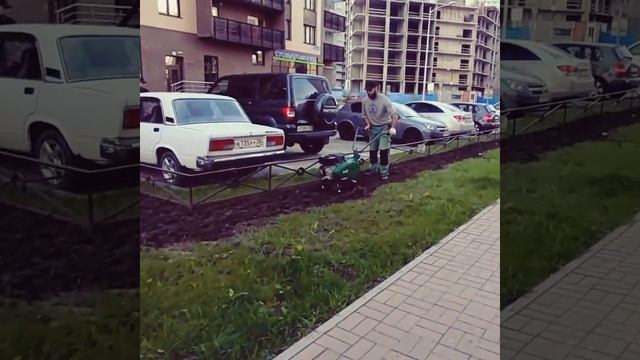 Озеленение бульвара смотреть онлайн