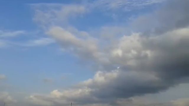 Строительство трассы 