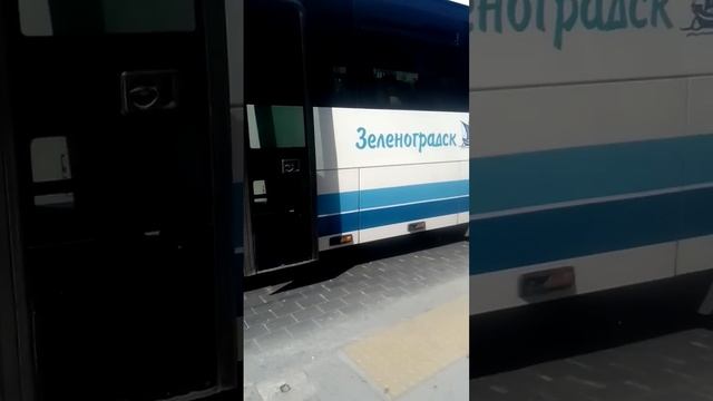 Автобус с пригородным маршрутом N 118 Калининград Автовокзал - Светлогорск смотреть онлайн