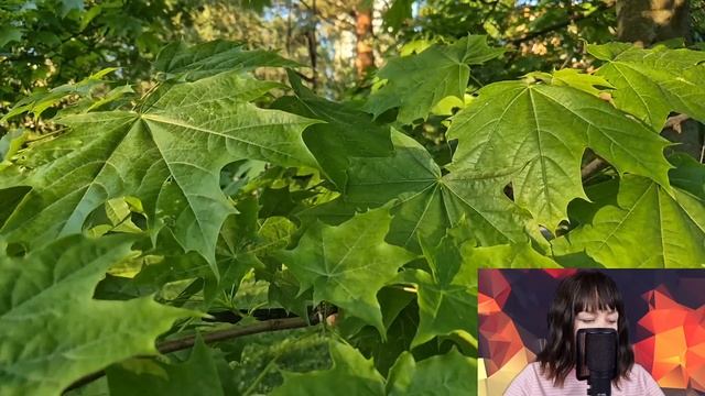 Рита нехотя брела домой из больницы, ведь там её не очень-то и ждали муж и свекровь. Но подслушав.. смотреть онлайн