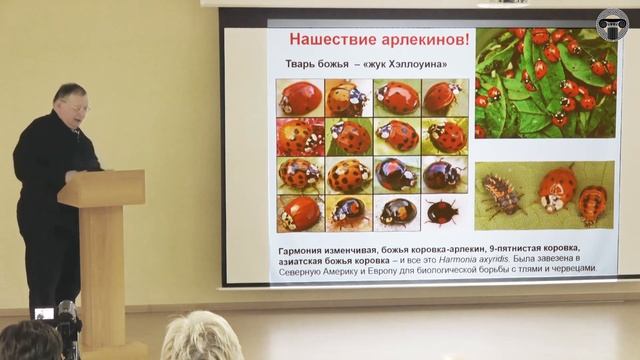 Насекомые в мире человека / Валерий Мутин смотреть онлайн