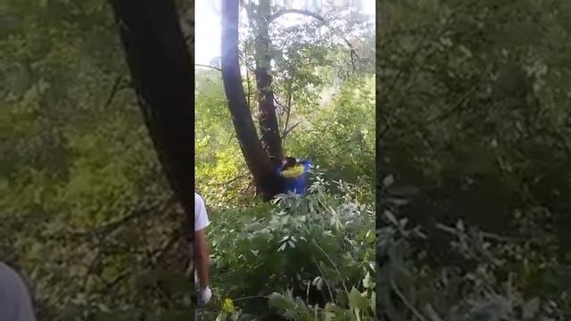 Улица Кирова, Ижевск  Расчистка участка под застройку.