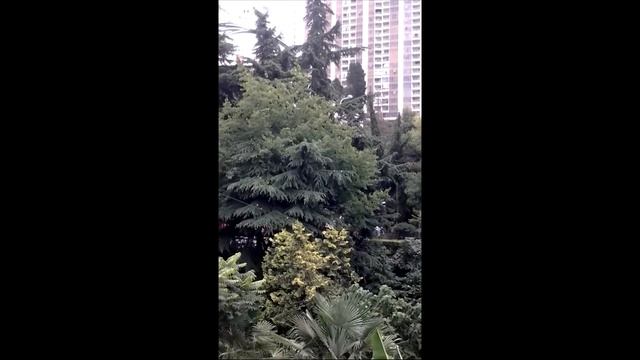 Квартира от застройщика в жк "Аврора", от 5 млн.рублей смотреть онлайн