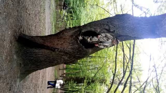 микс парк нивки смотреть онлайн