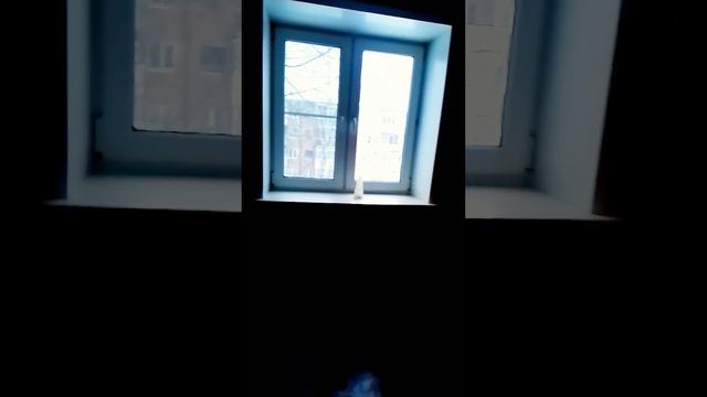 Двухкомнатная квартира. Советск, Октябрьский пер. 9 смотреть онлайн