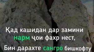 СУРАИ АРРАҲМОН ПЕРЕВОД БО ЗАБОНИ ТОҶИКИ