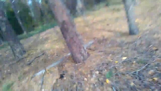 Ывлтчвлвлгаоа смотреть онлайн