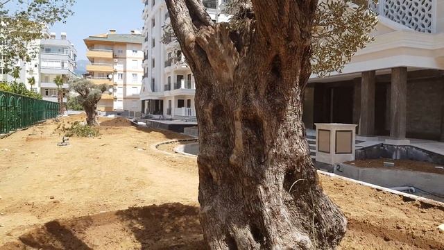 Недвижимость в Алании от застройщика: (без монтажа) Главное качество и место. смотреть онлайн