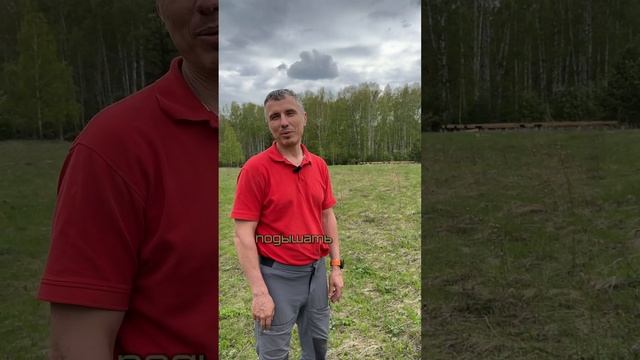 Обзор земельного участка в Сибиряк-2, Красноярск 🔥 ФСК МАЛЫЕ ЭТАЖИ 🏡 смотреть онлайн