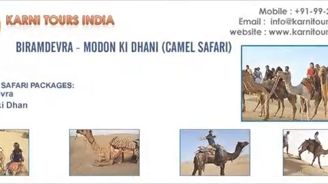 Camel Safari Tour Packages смотреть онлайн