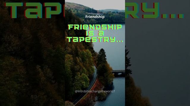 Friendship #quotes #quotesaboutlife #love #quotesoftheday #introvert #quotestoliveby #quotestagram смотреть онлайн