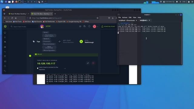 self training D1 pt1 смотреть онлайн