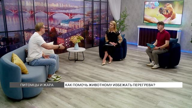 Как пережить жару питомцу? смотреть онлайн