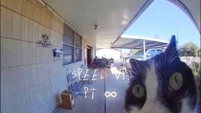 Succubus — Rizza = Speed Up =