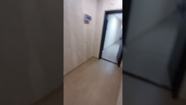 Снять в аренду квартиру 65м в Краснодаре ☎️89181230249 смотреть онлайн