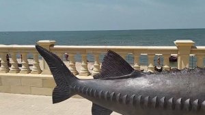 ПРИМОРСКО-АХТАРСК сейчас главный пляж города и достопримечательности