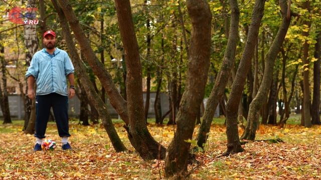 Зинченко ОФП Футбол Занятие 5 смотреть онлайн