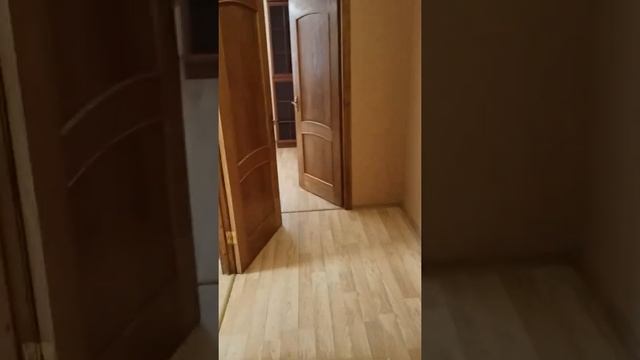 Декабристов 8. Королев смотреть онлайн