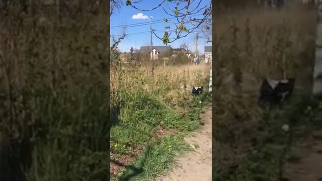 Участок 6 соток улица Катина, Центральный район, город Калининград смотреть онлайн