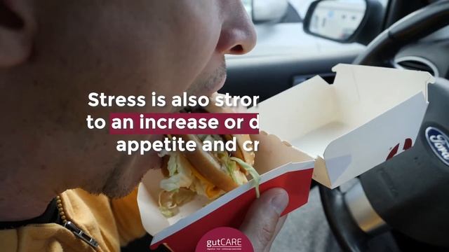 How Does Stress Affect My Gut Health? | GUTCARE смотреть онлайн