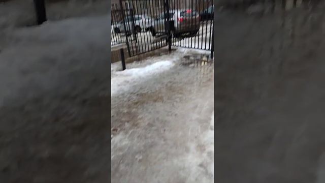 Погода в Пушкино весна смотреть онлайн