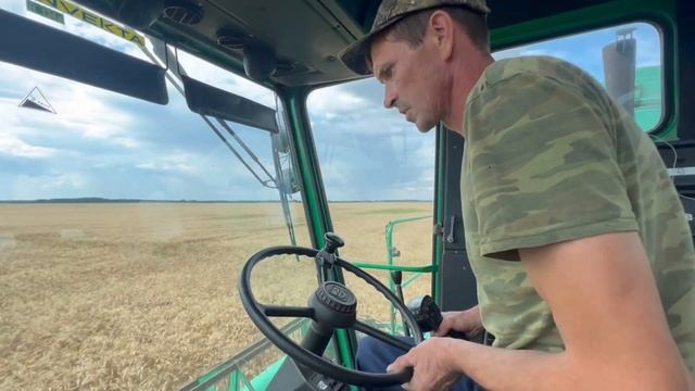 Утро в сельском хозяйстве ! Начало уборочной компании 2024 смотреть онлайн