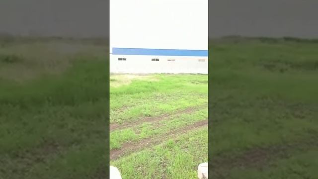 Участок пром. г. Лермонтов смотреть онлайн