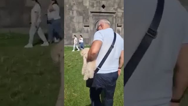 Ахпат. Роман Багдасарян смотреть онлайн