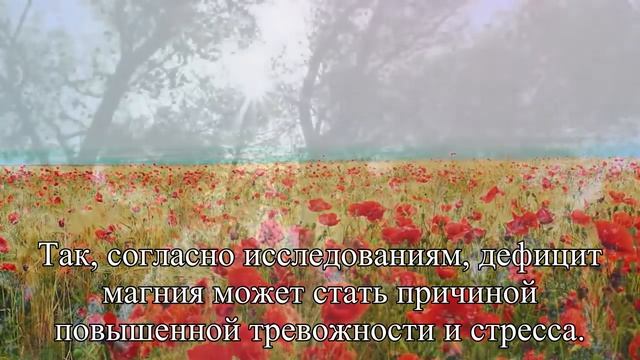 8 способов победить осеннюю депрессию — Статья смотреть онлайн