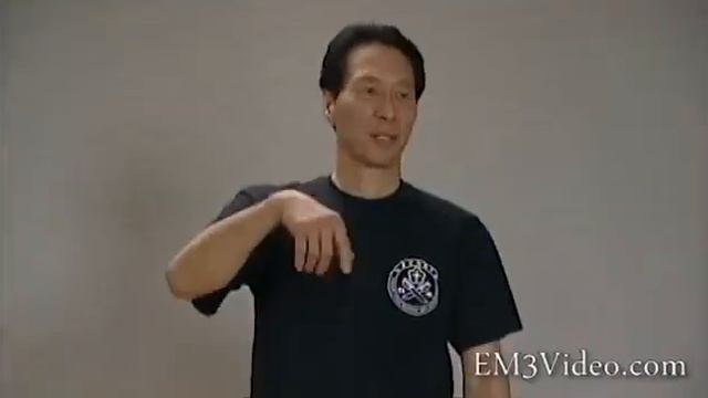Mastering Wing Chun Siu Lim Tau Grandmaster Samuel Kwok