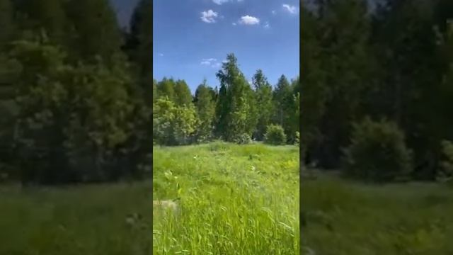 Видеообзор земельного участка на ул.Туполева смотреть онлайн
