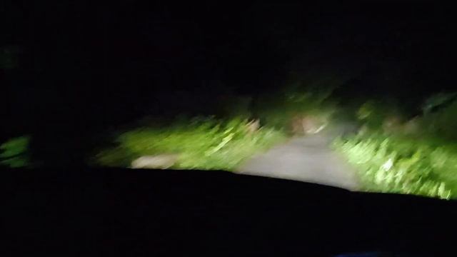 बाघ TIGER यहाँ आ गया है | Tiger Movements In Hills | Night Safari | Porcupine Finding смотреть онлайн