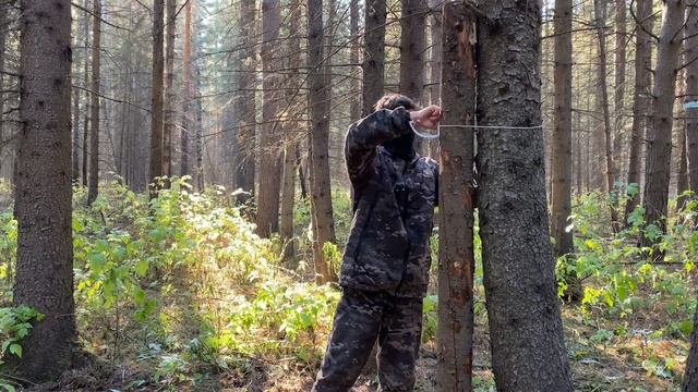 СТРОЮ БУШКРАФТ ДОМ ХИЖИНУ. ПОСТАВИЛ БАЛКИ.