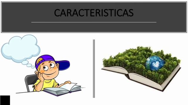 paradigma ambientalista смотреть онлайн